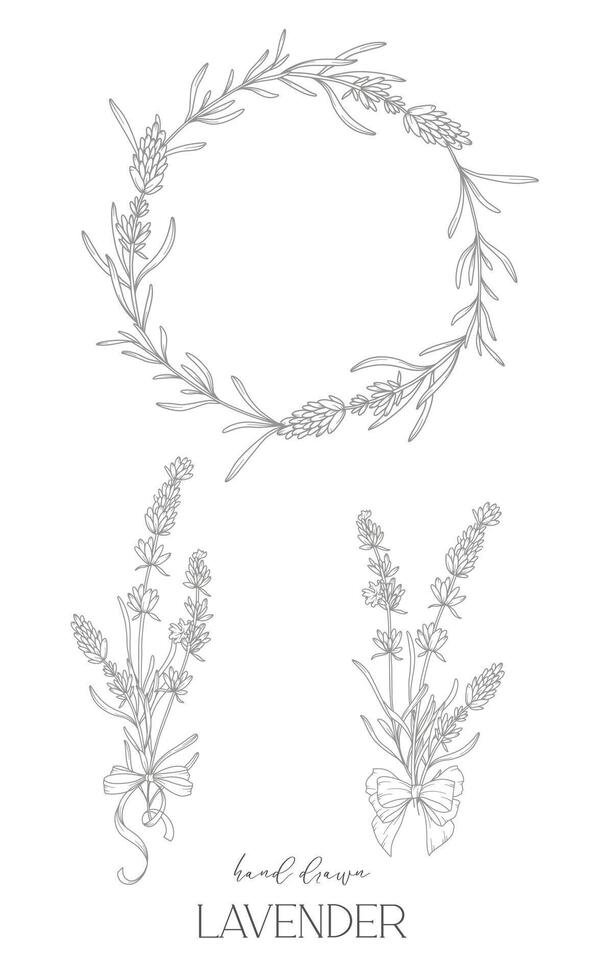Lavender Line Drawing. Black and white Floral Frames. Floral Line Art. Fine Line Lavender illustration. Hand Drawn Outline flowers. Botanical Coloring Page. Wedding invitation flowers vector