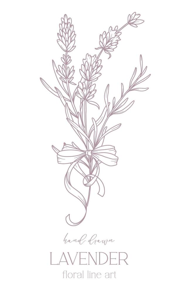 Lavender Line Drawing. Black and white Floral Bouquets. Flower Coloring Page. Floral Line Art. Fine Line Lavender illustration. Hand Drawn flowers. Botanical Coloring. Wedding invitation flowers vector
