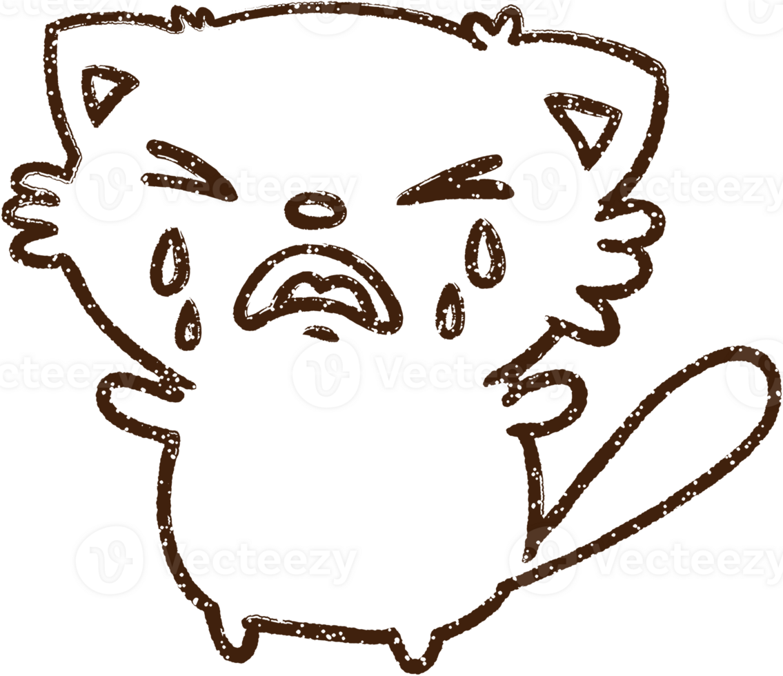 Crying Cat Charcoal Drawing png