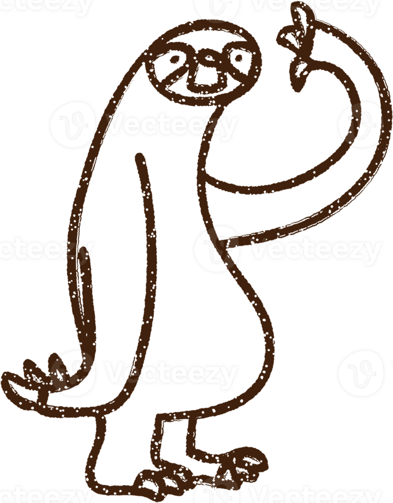 Sloth Charcoal Drawing png