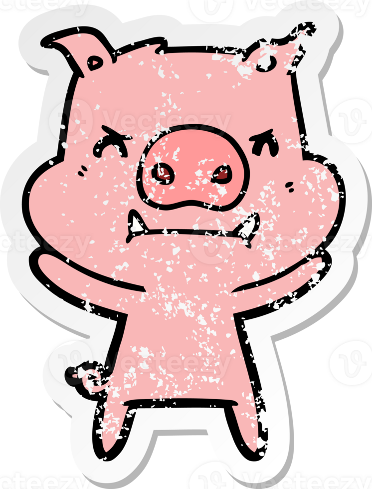 distressed sticker of a angry cartoon pig png