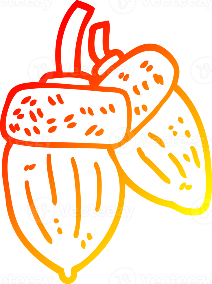 warm gradient line drawing of a cartoon acorn png