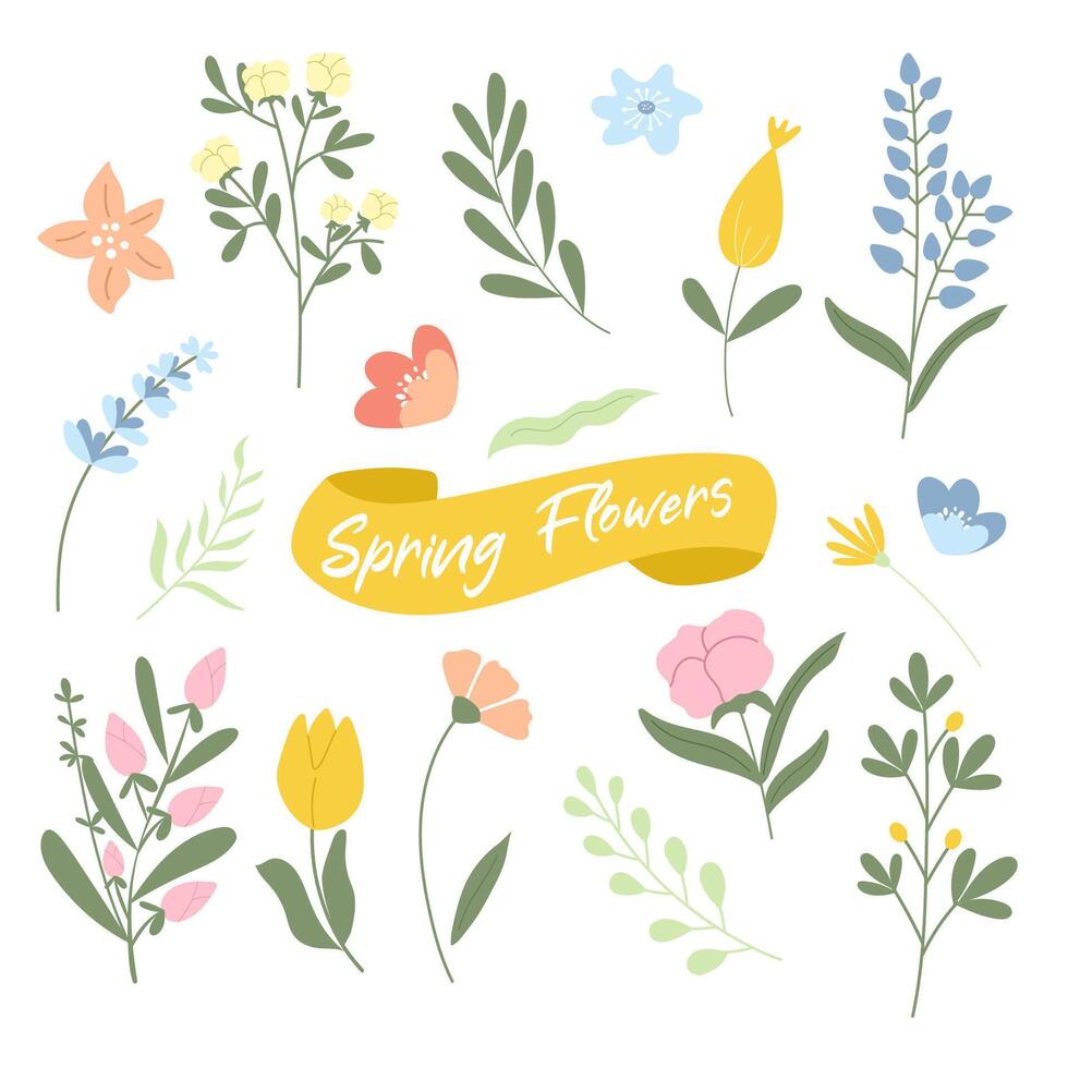 mano dibujado conjunto de elegante primavera flores vector