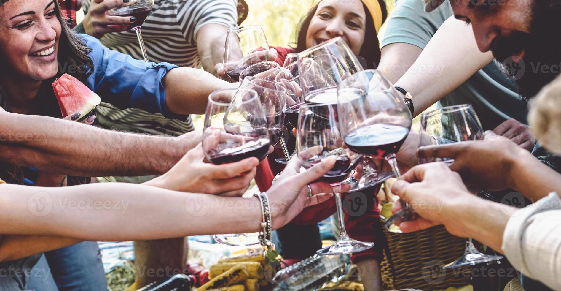 Group of friends cheering and toasting with red wine glasses at picnic party - Happy young people having fun drinking and eating together in the garden - Friendship, food and drink concept photo