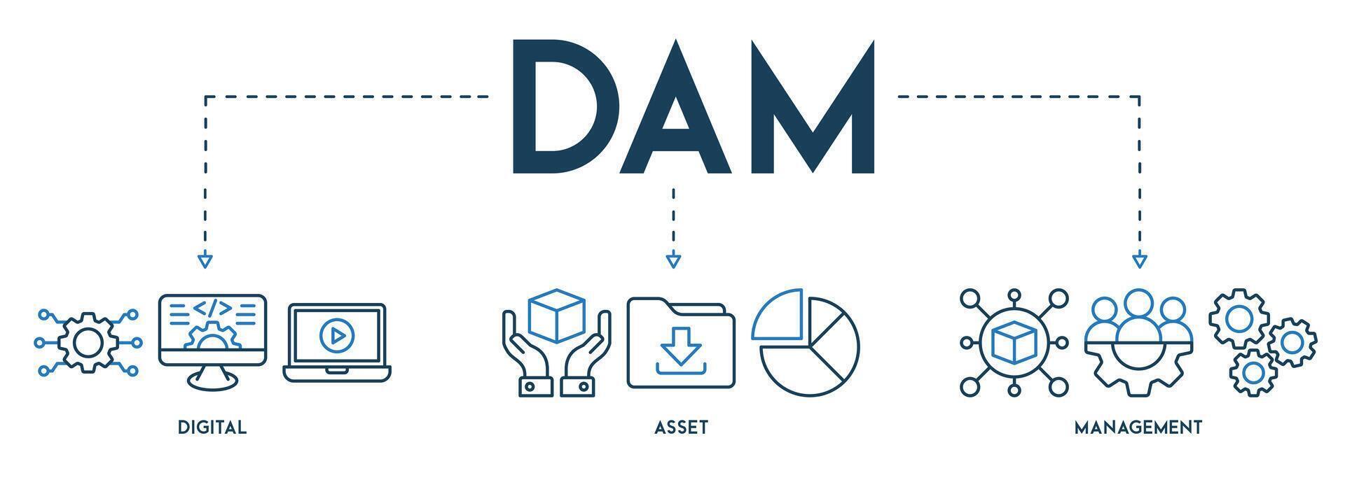 DAM Digital Asset Management Organization banner website icon vector illustration concept icon of digital assets management
