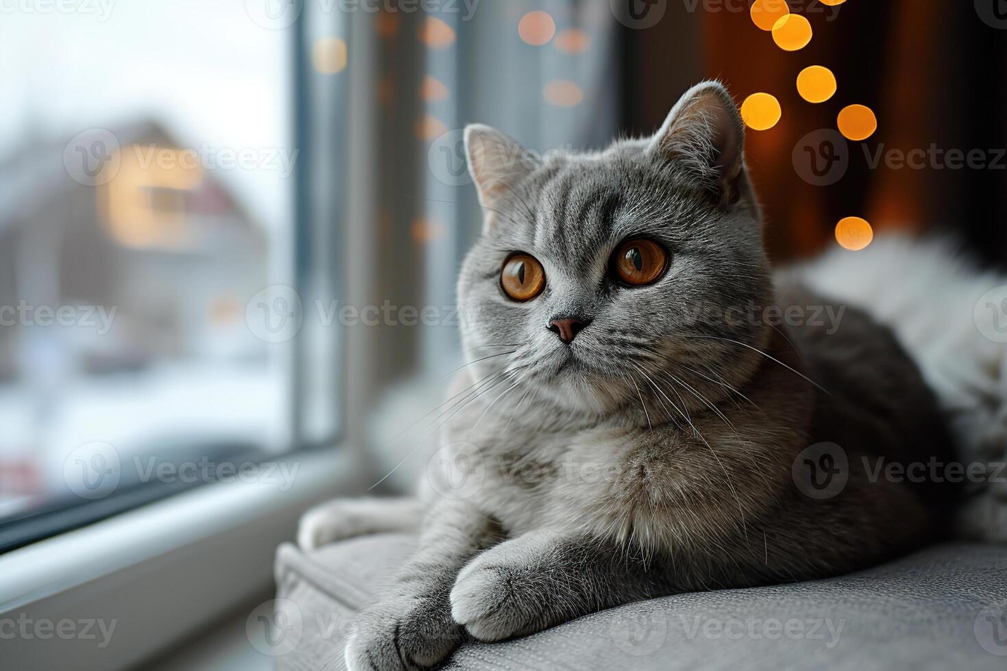 AI generated closeup portrait a gray cat lies in a room by the window on a blurred bokeh background photo