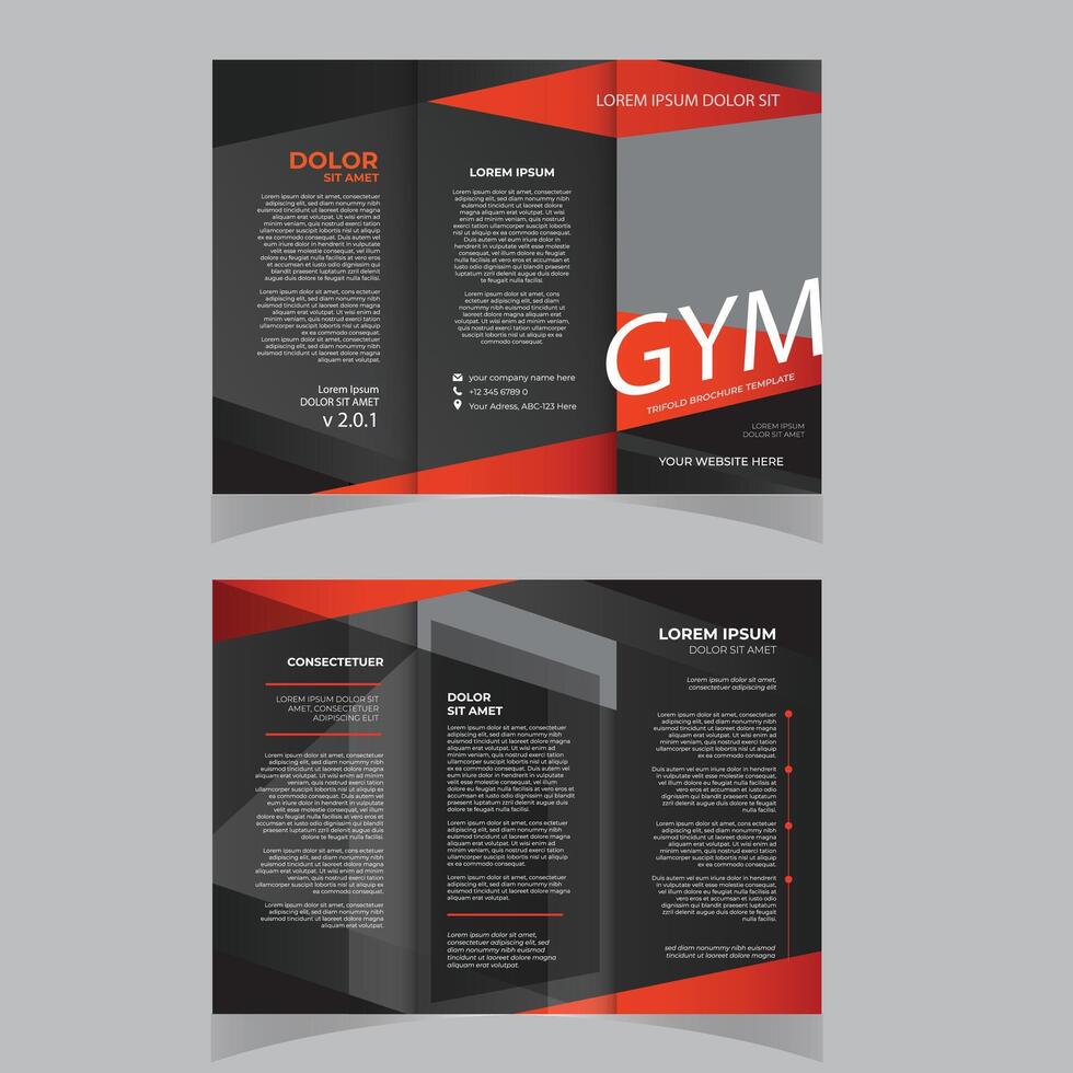 Gym trifold brochure template, Fitness tri-fold brochure template, Sports brochure vector
