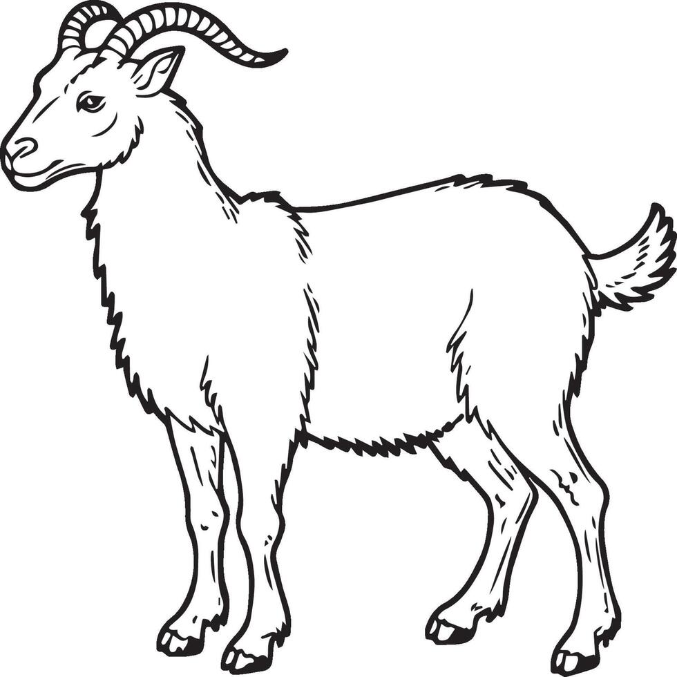 Animals coloring pages. Animal coloring pages for coloring book vector