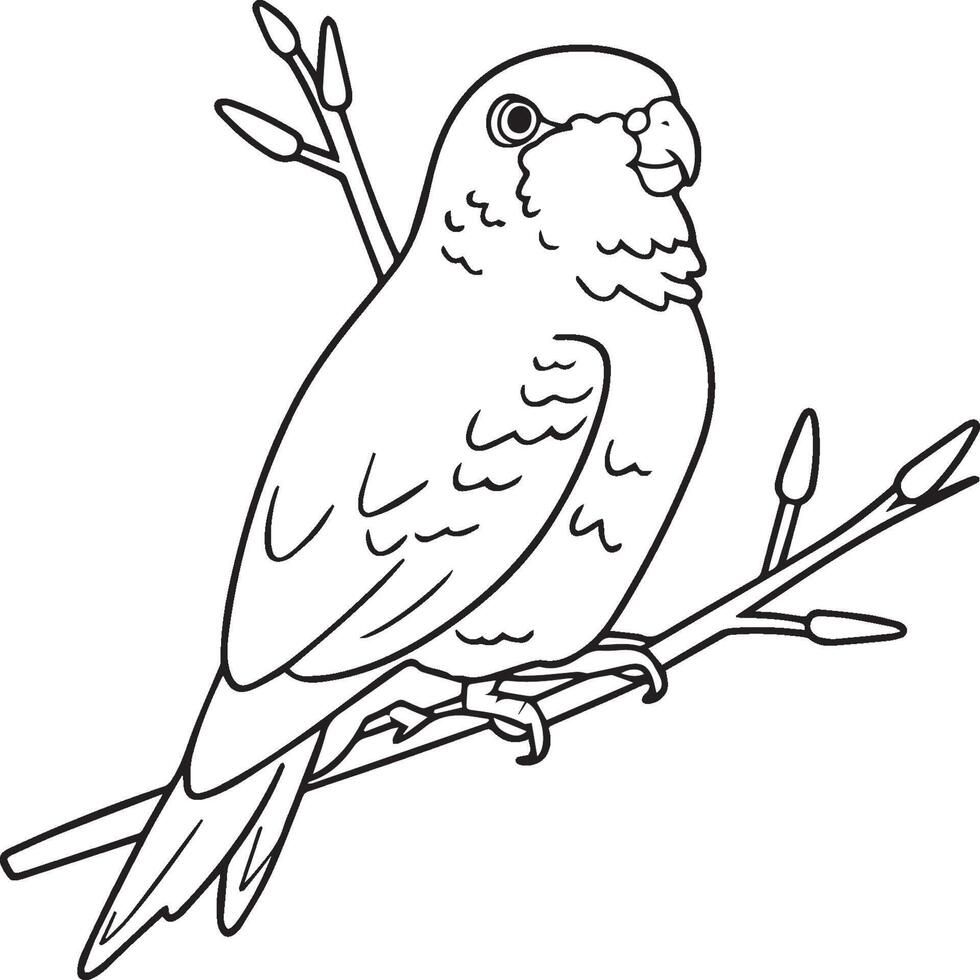 Domestic animals coloring pages. Animal coloring pages for coloring book. Animal outline images. Animal coloring pages vector