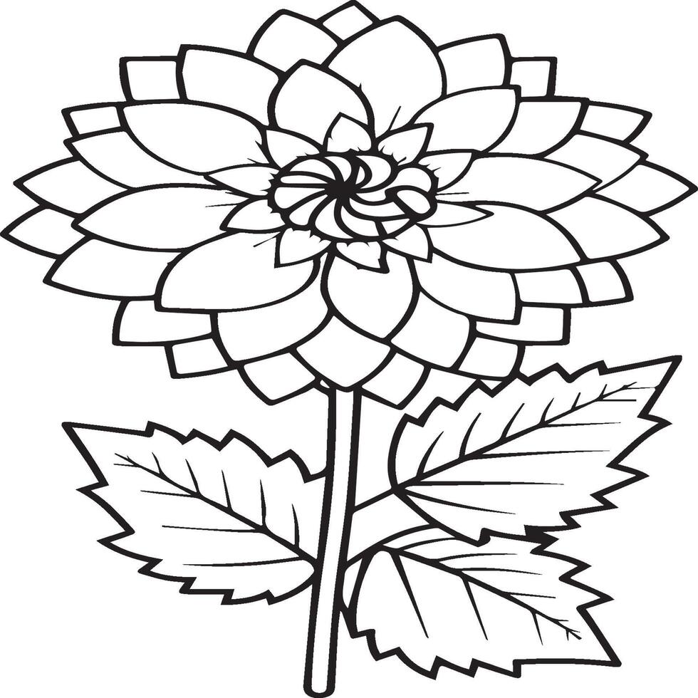 Dahlia flower coloring pages. Dahlia flowers outline vector