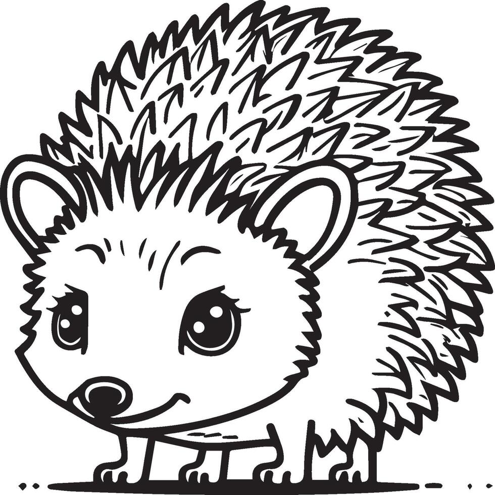 Hedgehog coloring pages. Hedgehog outline vector