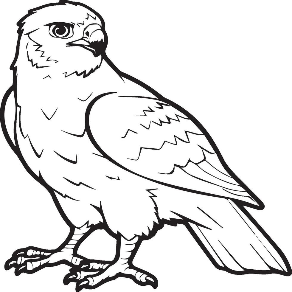 Animals coloring pages. Animal coloring pages for coloring book vector