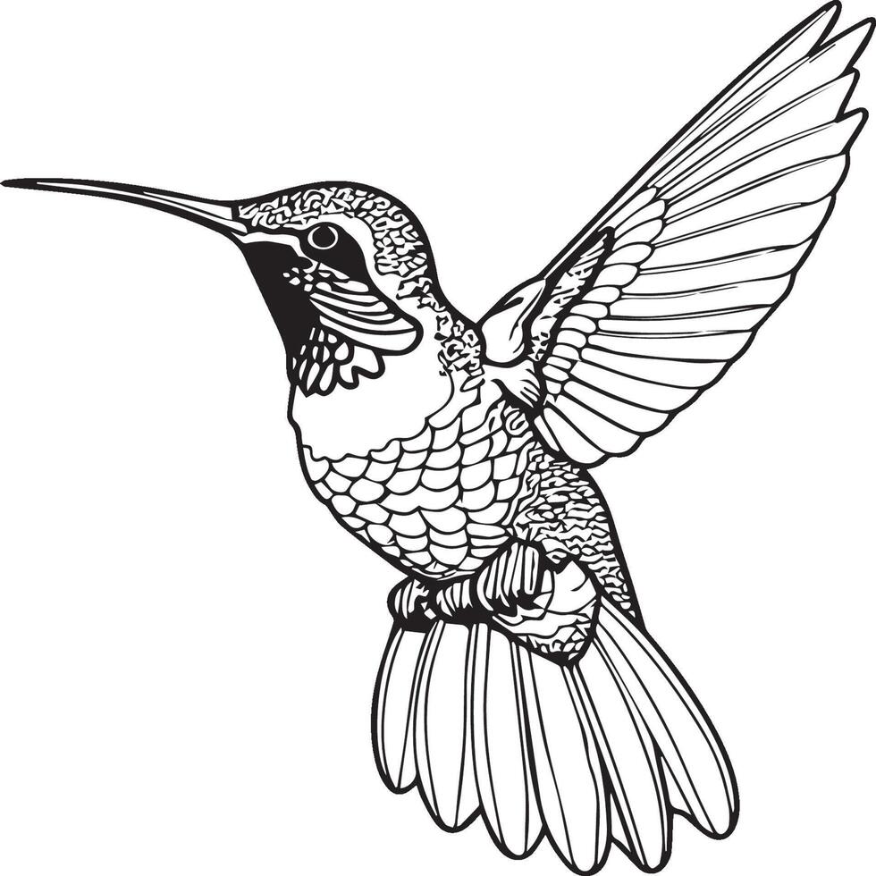 Animals coloring pages. Animal coloring pages for coloring book vector