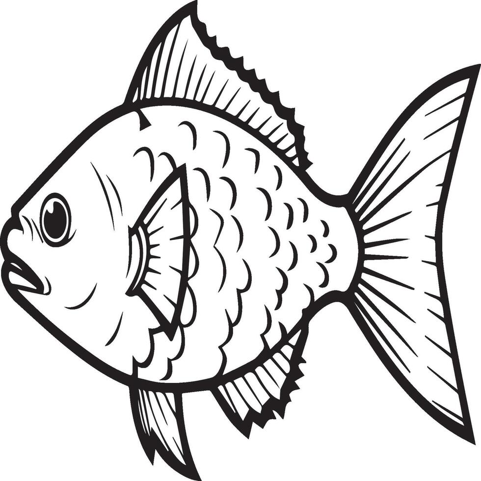 Fish coloring pages for coloring book. Fish outline pages. Fish outline vector