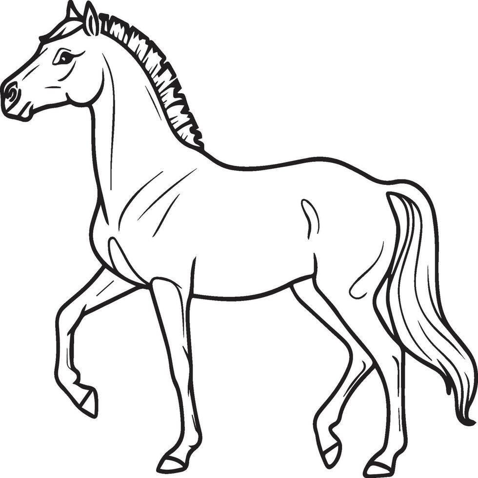 Animals coloring pages. Animal coloring pages for coloring book vector