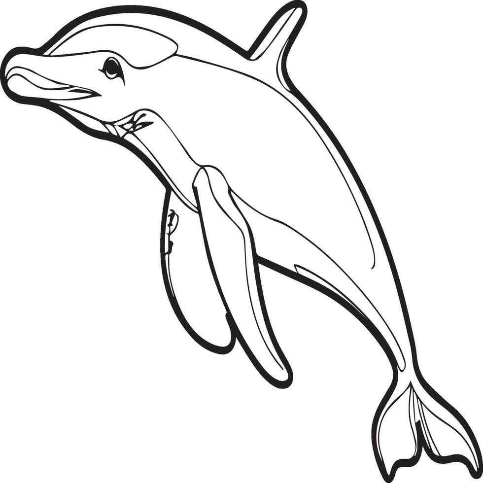 Animals coloring pages. Animal coloring pages for coloring book vector