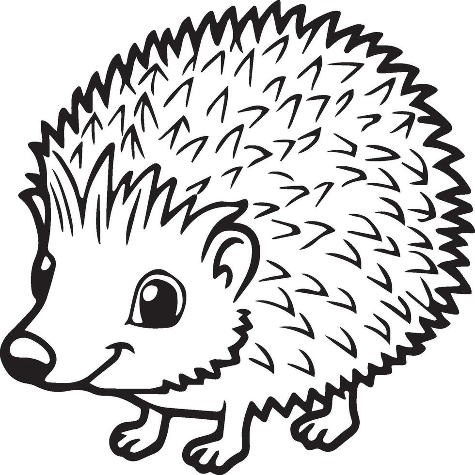 Hedgehog coloring pages. Hedgehog outline vector