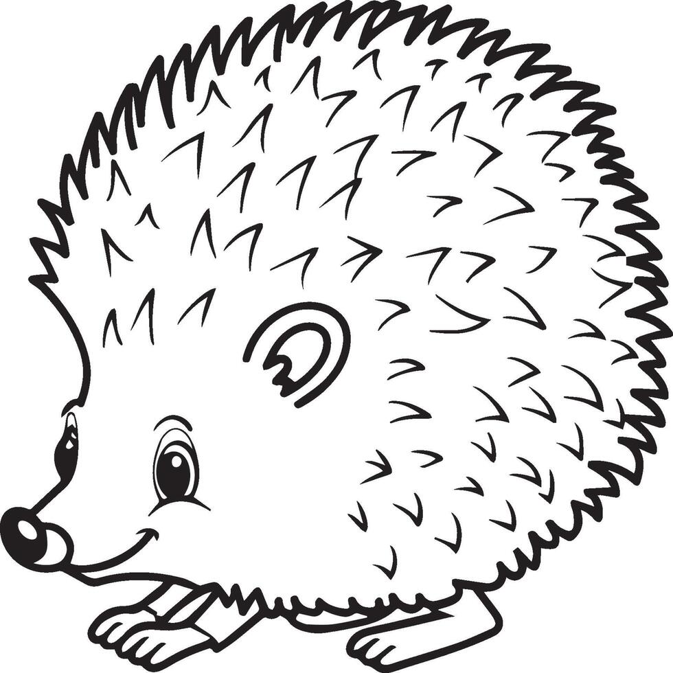 Hedgehog coloring pages. Hedgehog outline vector