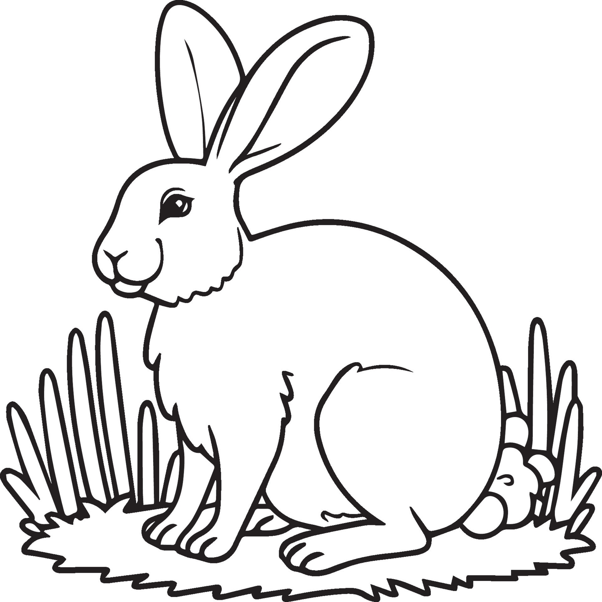 domestic-animals-coloring-pages-animal-coloring-pages-for-coloring
