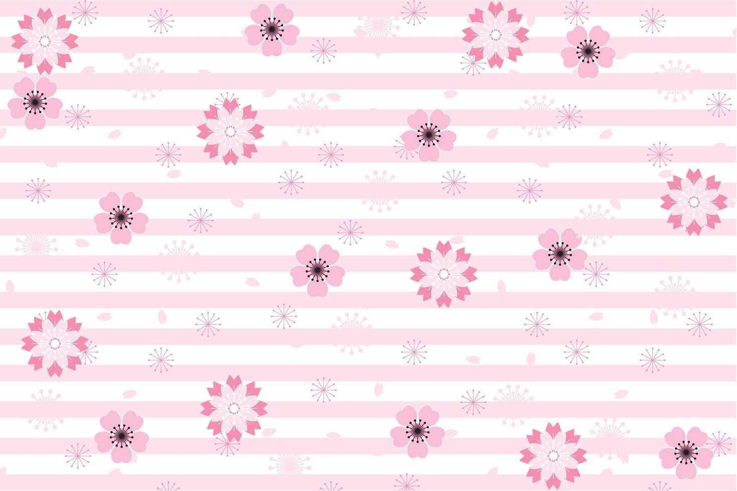 Illustration, pattern abstract of sakura flower and petals falling with light pink line on white background. vector