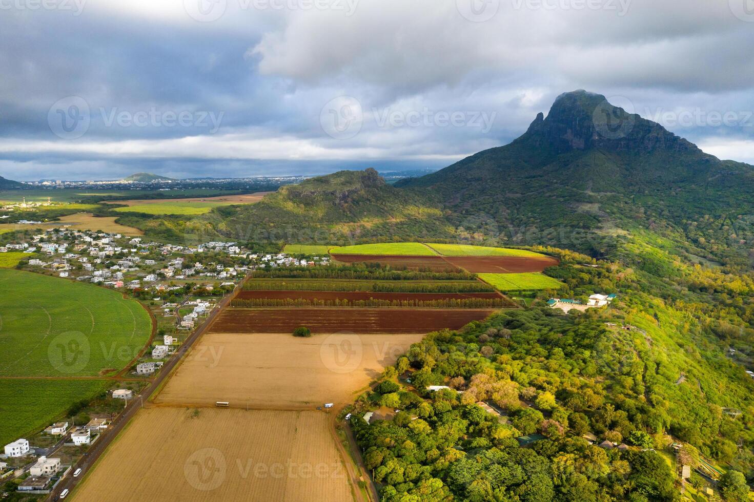 View from the height of the sown fields located on the island of Mauritius photo