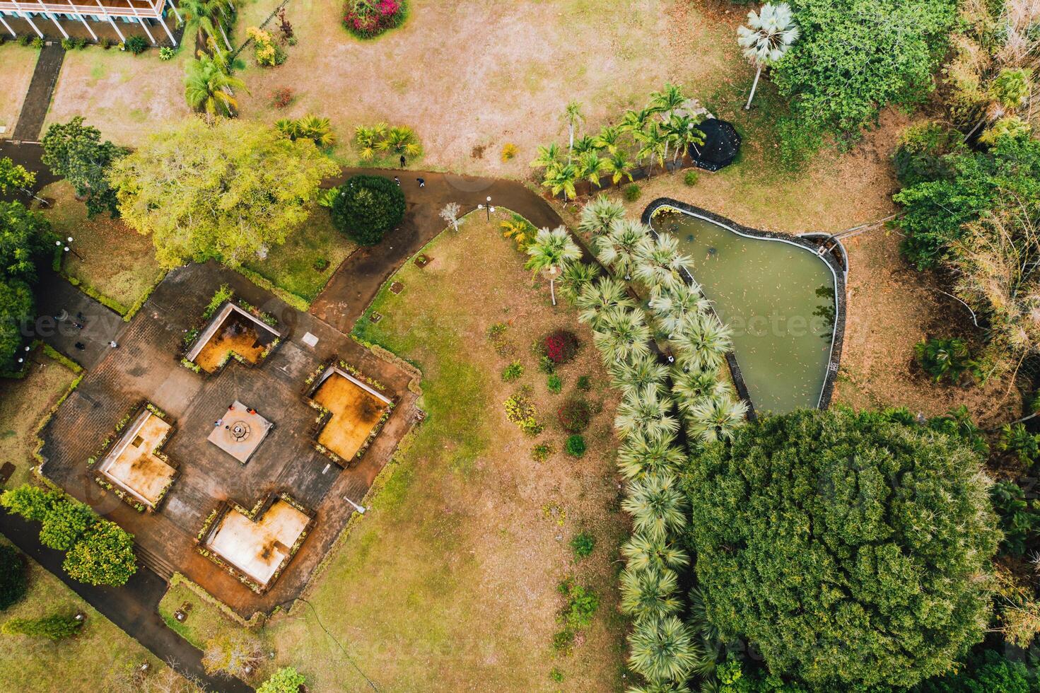 Botanical garden on the Paradise island of Mauritius. Mauritius island in the Indian ocean photo