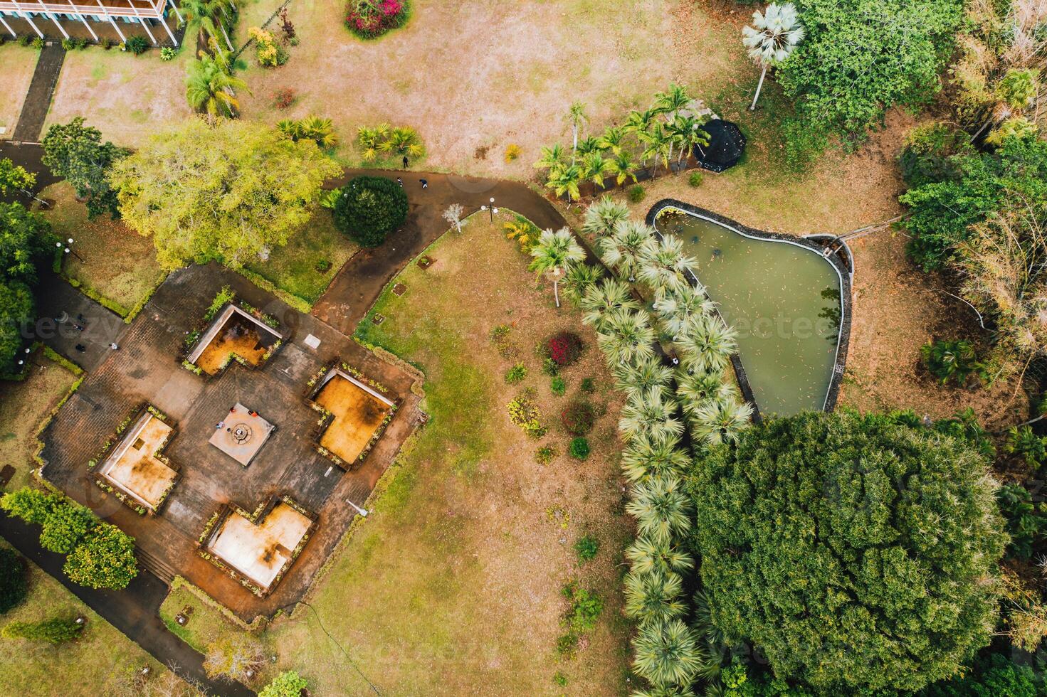 botánico jardín en el paraíso isla de mauricio Mauricio isla en el indio Oceano foto