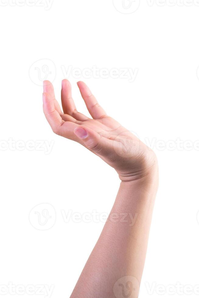 one hand on isolated background clipping path photo