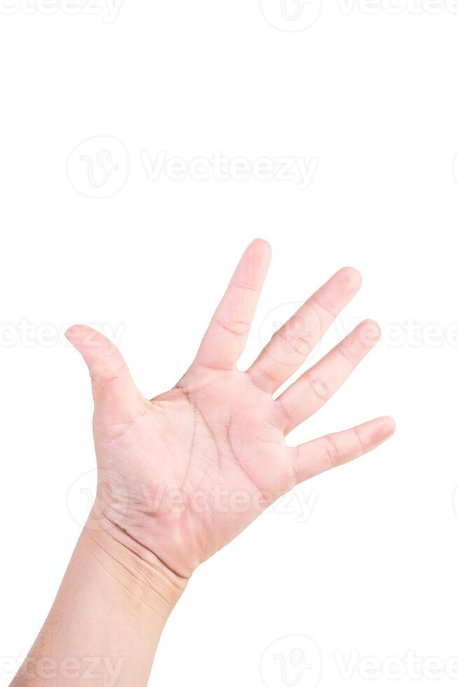 one hand on isolated background clipping path .Hands are counting numbers photo