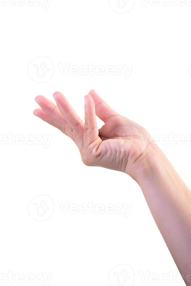 one hand on isolated background clipping path photo