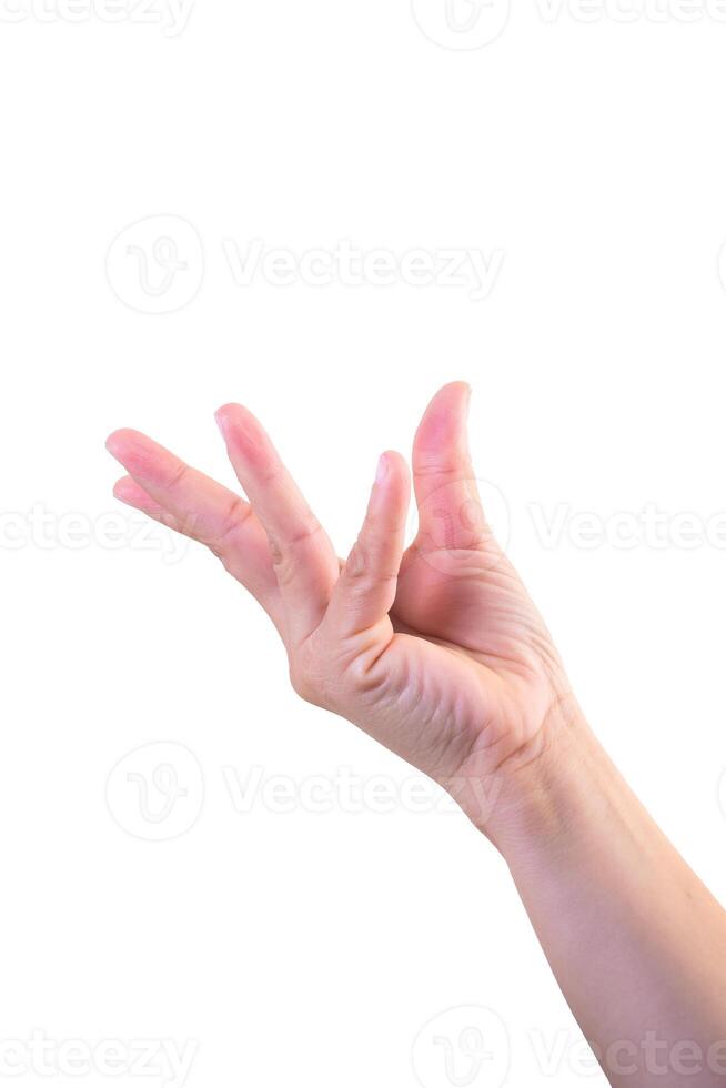 one hand on isolated background clipping path photo