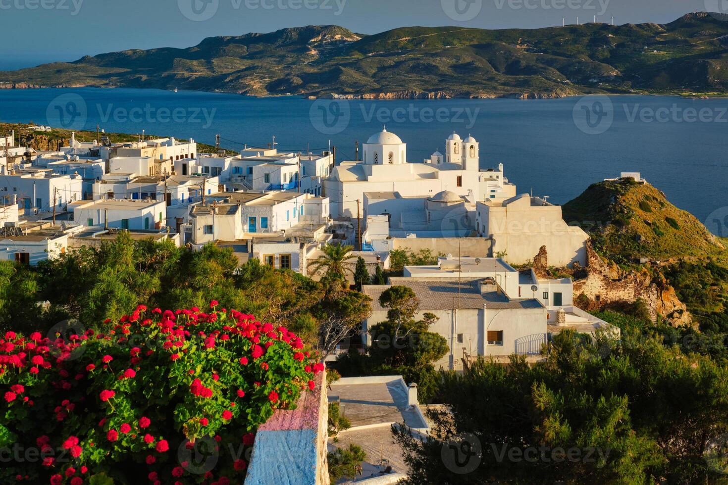 Picturesque scenic view of Greek town Plaka on Milos island over red geranium flowers photo