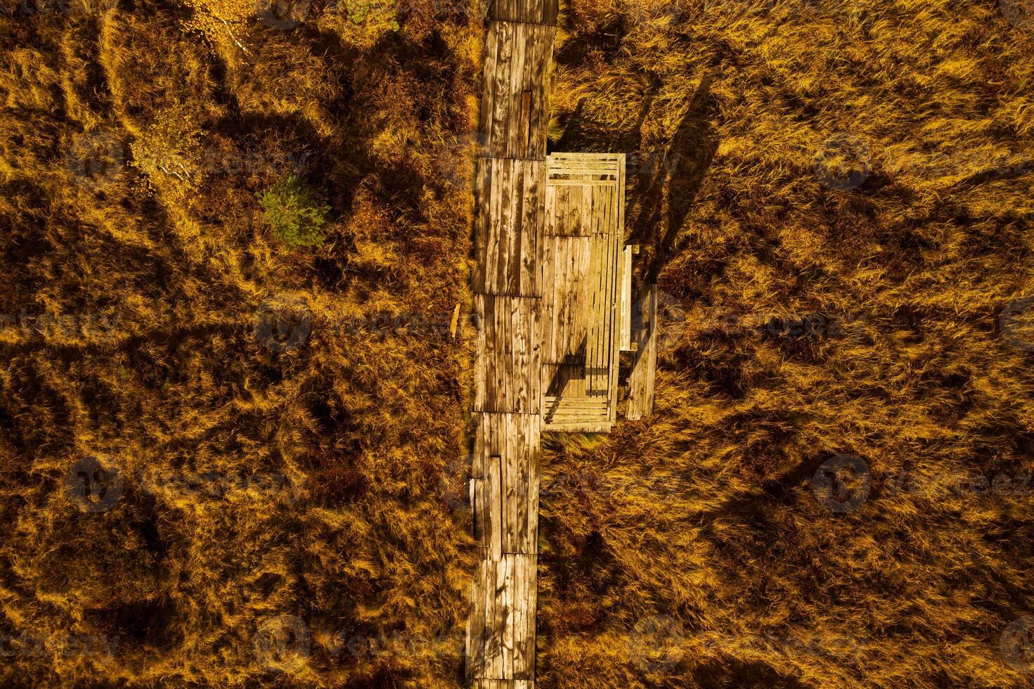 An aerial view of an autumn bog in Yelnya, Belarus, autumn. Ecosystems ecological problems climate change photo