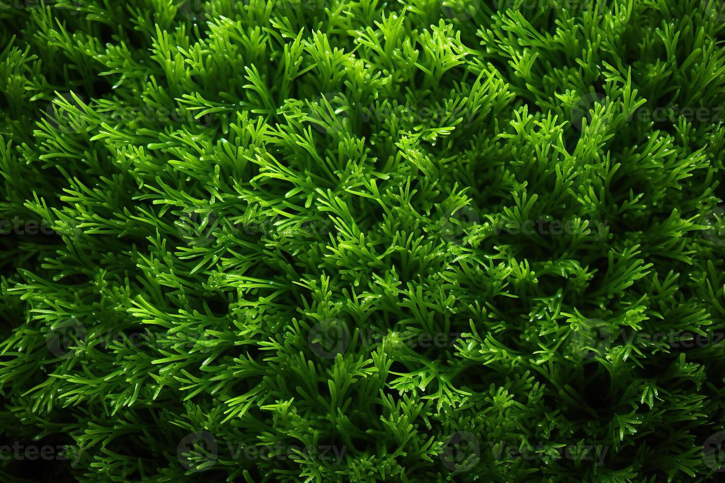 AI generated Texture of green thick lawn, horizontal background. Generated by artificial intelligence photo