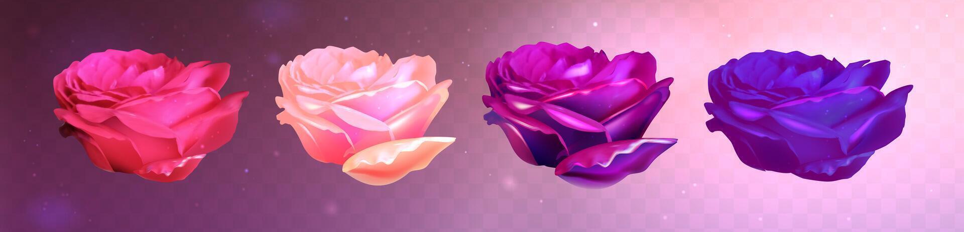 Vector set of realistic colorful rose.  3d roses on transparent background. Eps 10