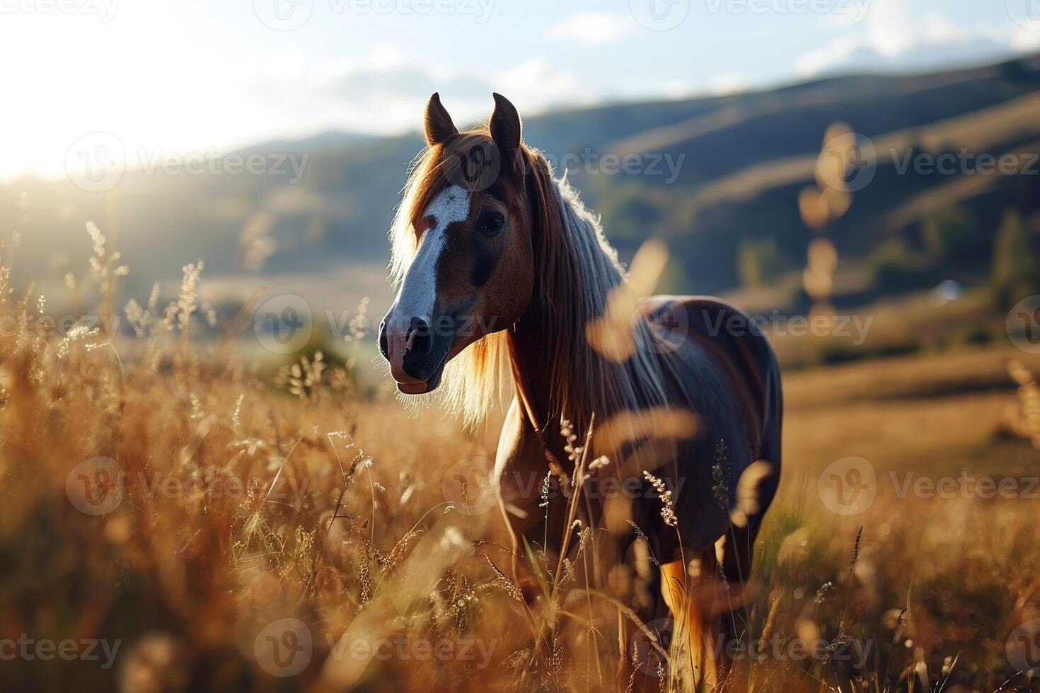 AI generated closeup brown horse stands in a field or pasture on a sunny summer day photo