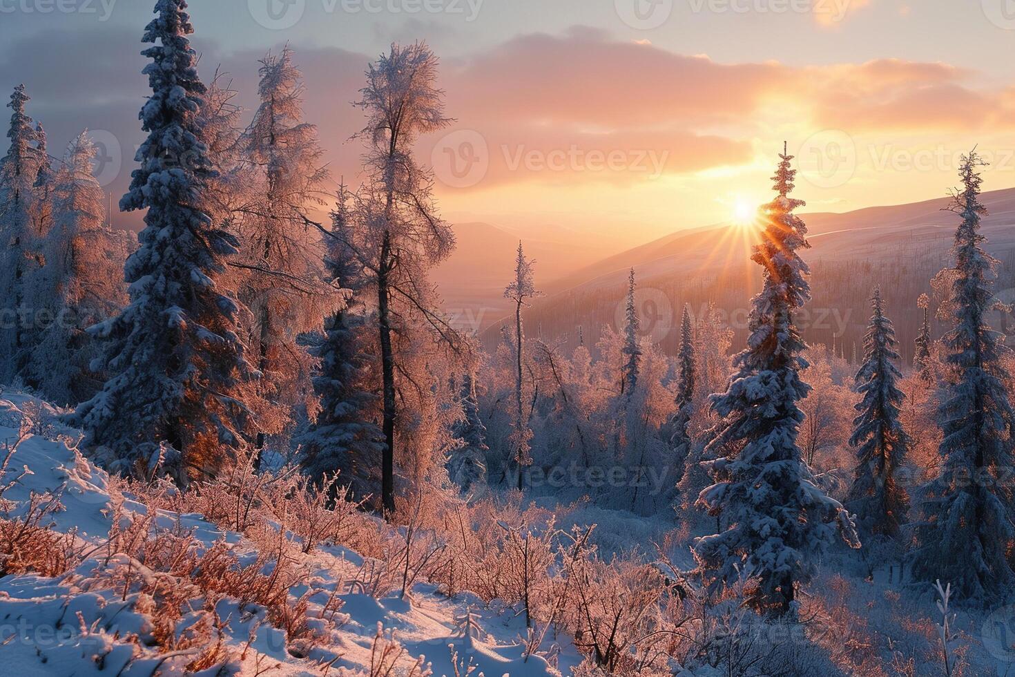 AI generated Breathtaking scenic view of a winter snow covered mixed forest in a mountain valley under a bright pink sunrise photo