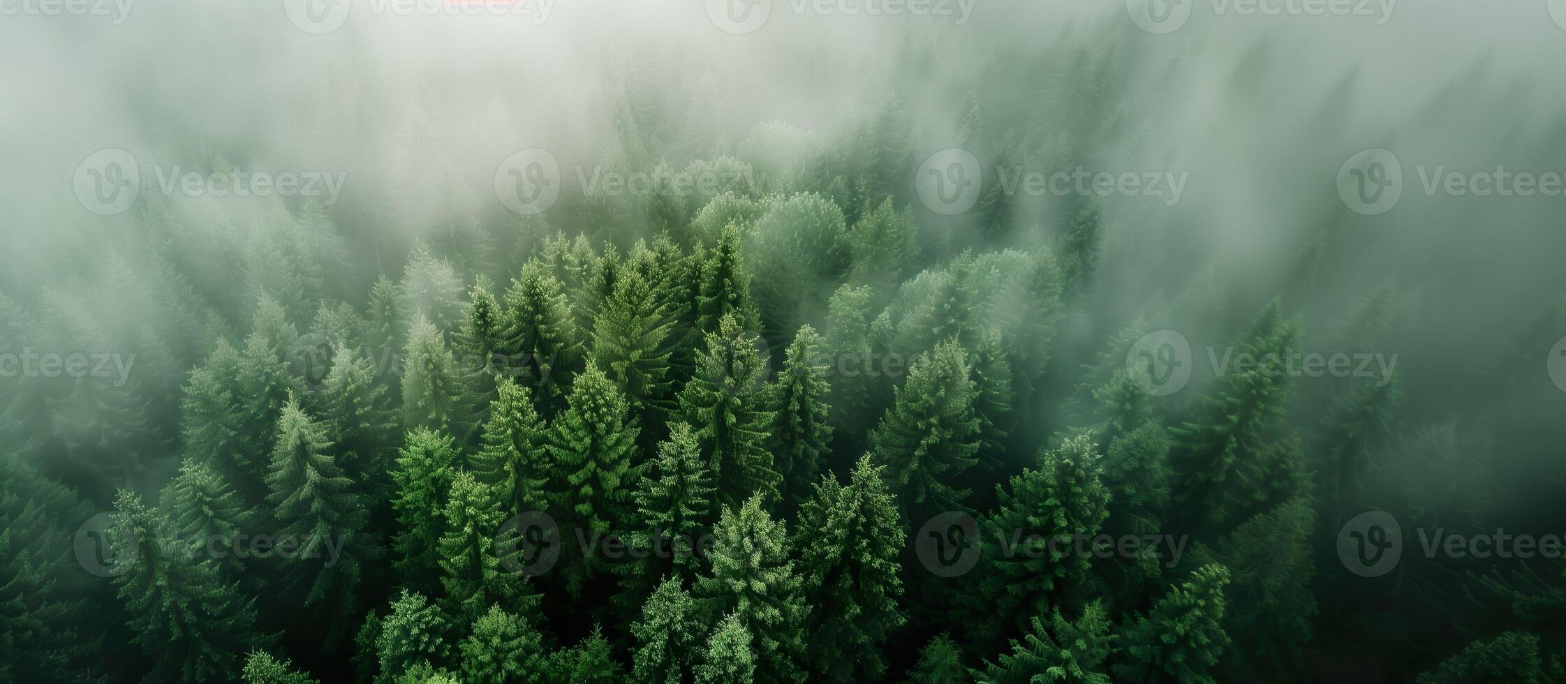 AI generated Misty forest of green pine trees background. Aerial perspective view. photo