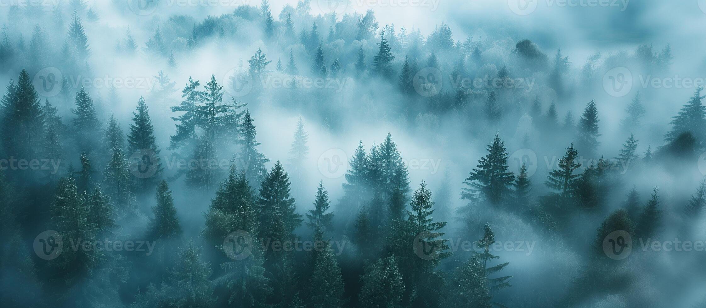 AI generated Aerial perspective view of mystical foggy forest with green pine trees. Wide banner. photo