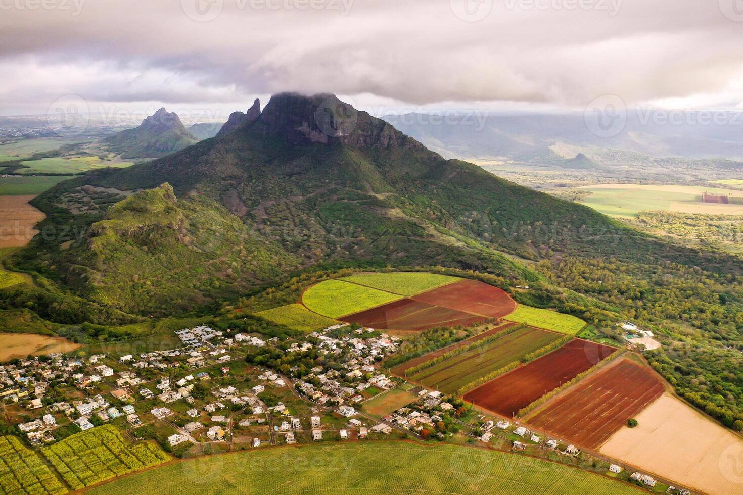 View from the height of the sown fields located on the island of Mauritius photo
