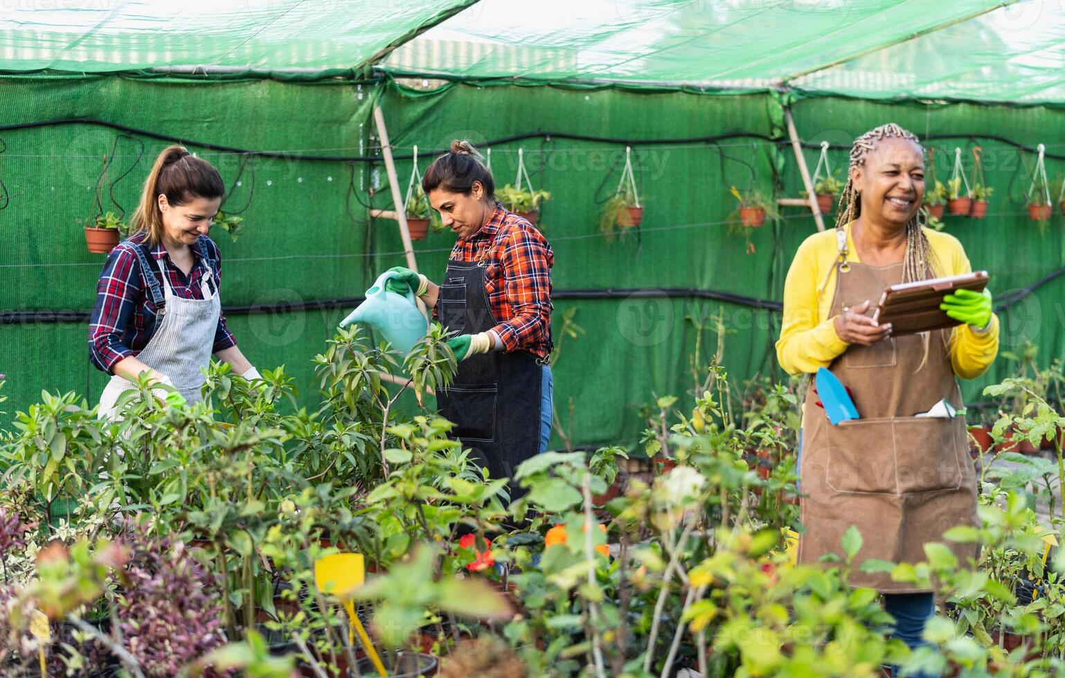 Multiracial gardeners working together in plants and flowers garden retail shop photo