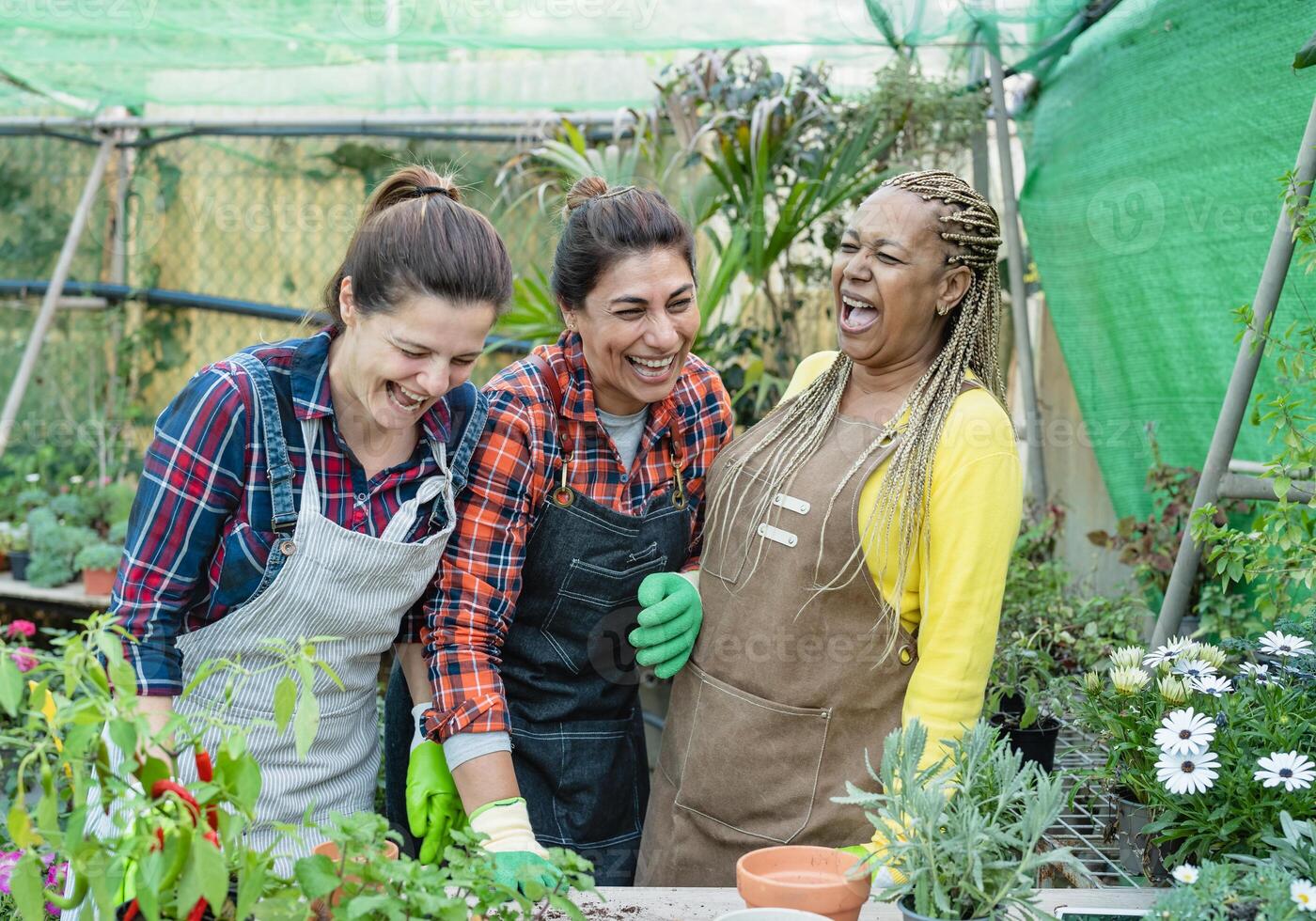 Happy multiracial gardeners having fun working in plants and flowers garden shop photo