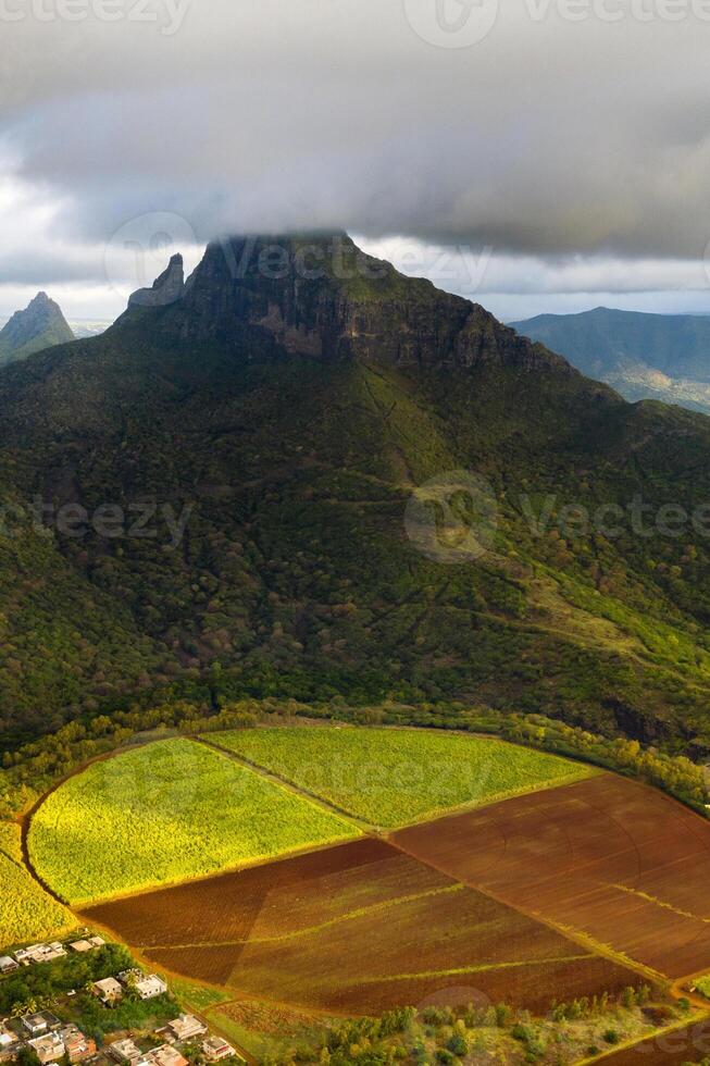 View from the height of the sown fields located on the island of Mauritius photo