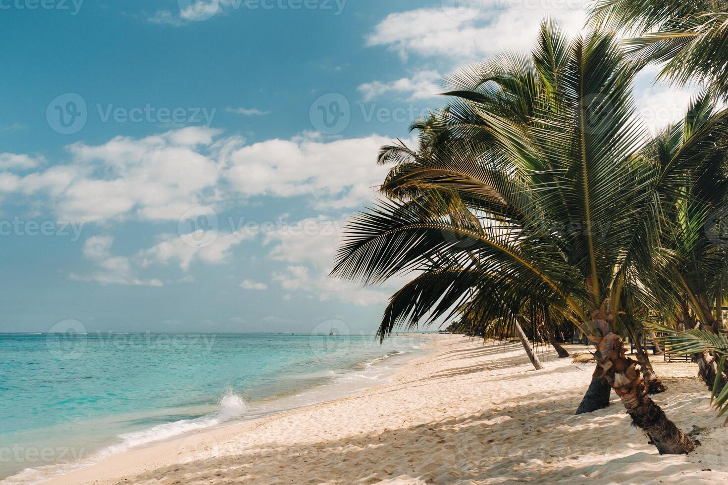 Beautiful beach, palm trees, and clouds on the horizon. Africa, Mauritius, South, near Le Morne. photo