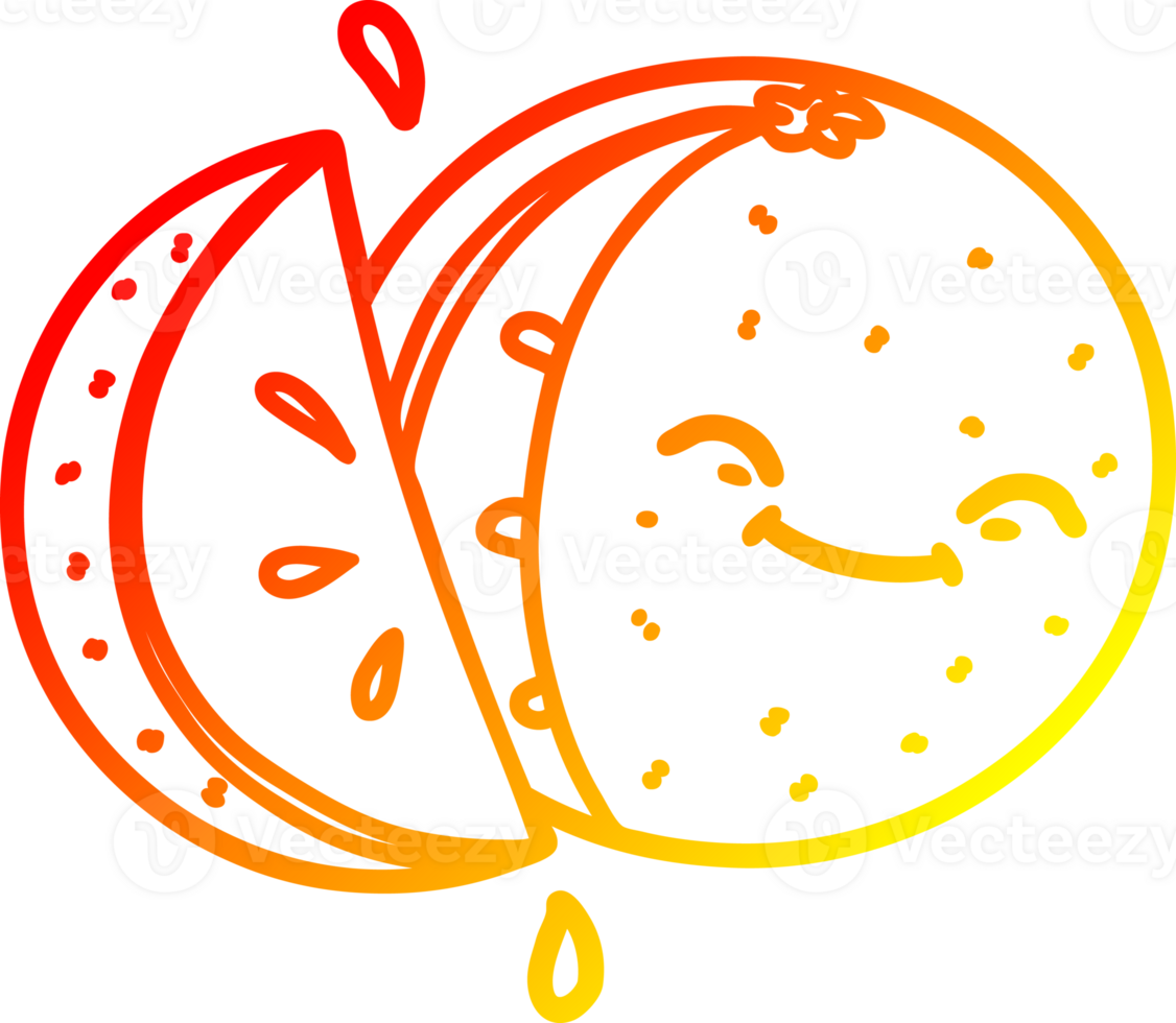 warm gradient line drawing cartoon sliced orange png