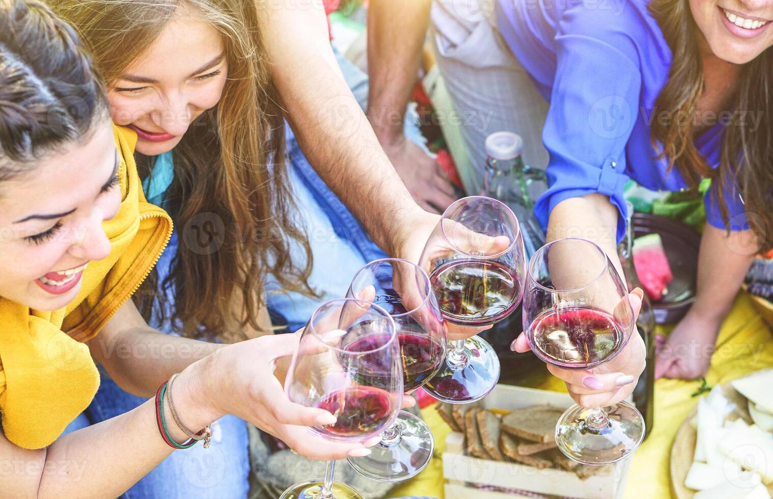 grupo de contento amigos haciendo un picnic tostado rojo vino lentes. joven personas disfrutando y riendo juntos Bebiendo y comiendo exterior. amistad, juventud, estilo de vida concepto foto