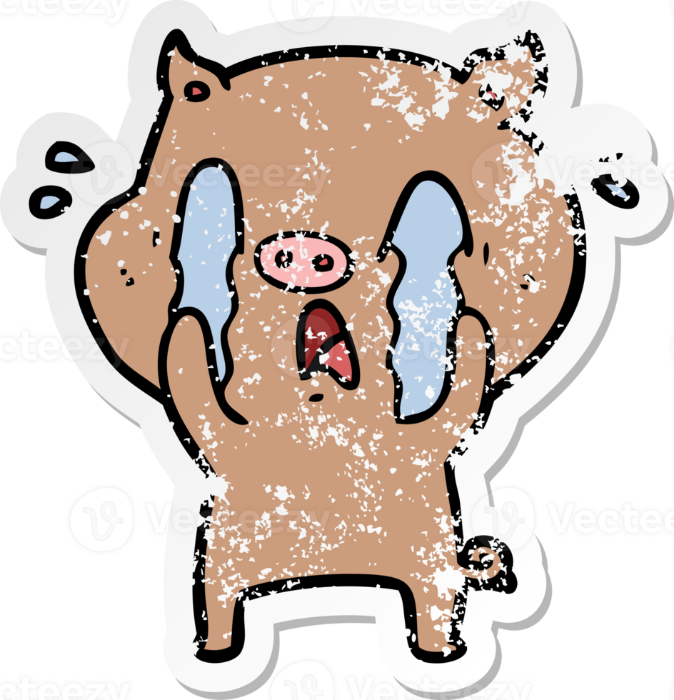 distressed sticker of a crying pig cartoon png