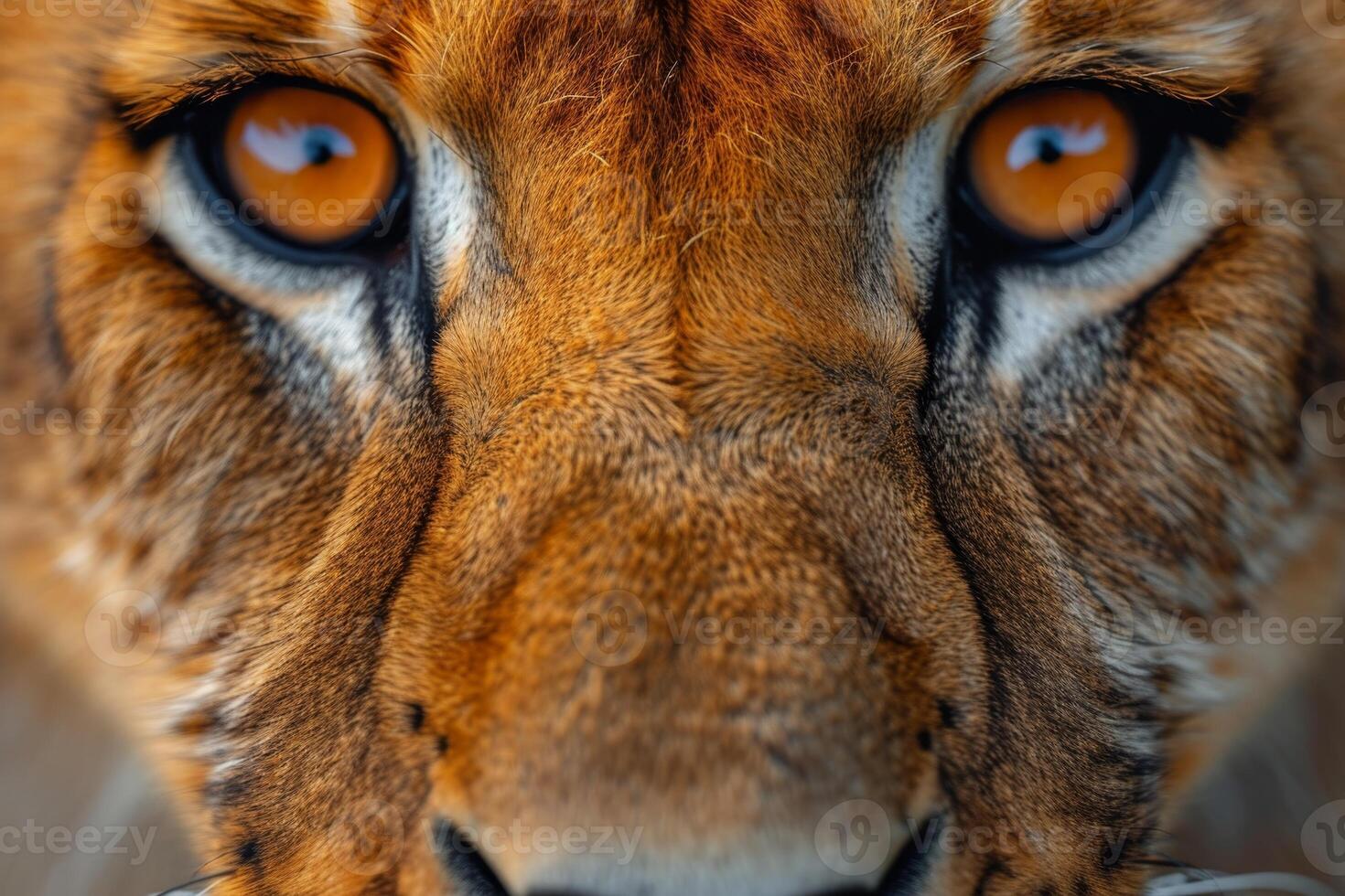 AI generated Portrait of a lion's muzzle in close-up. The Lion's head photo