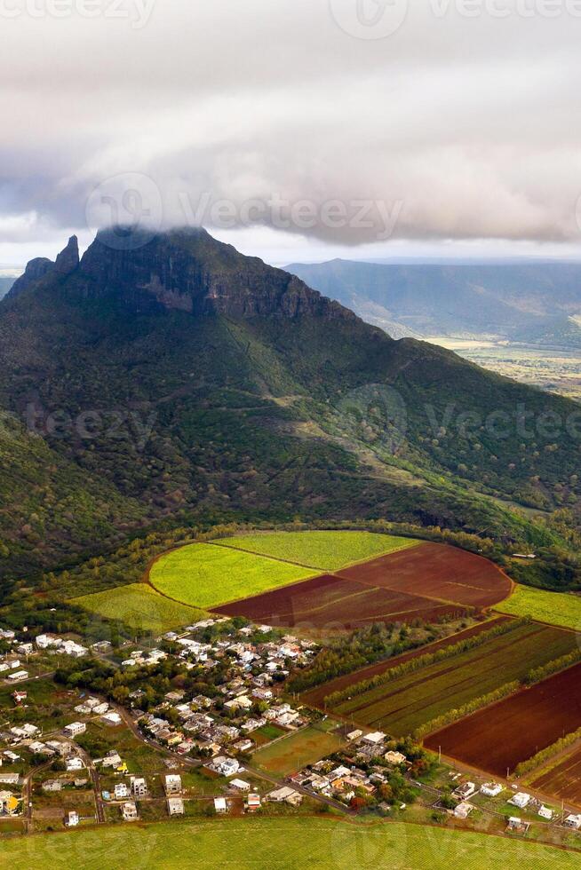 View from the height of the sown fields located on the island of Mauritius photo