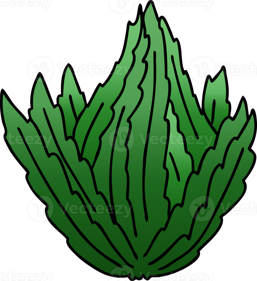 gradient shaded quirky cartoon lettuce png
